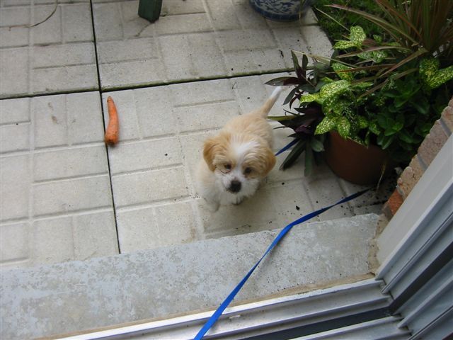 Dirty face after playing in the garden.!