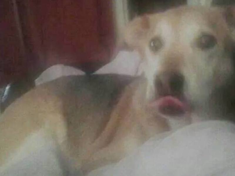 Sticking tongue out at camera again 