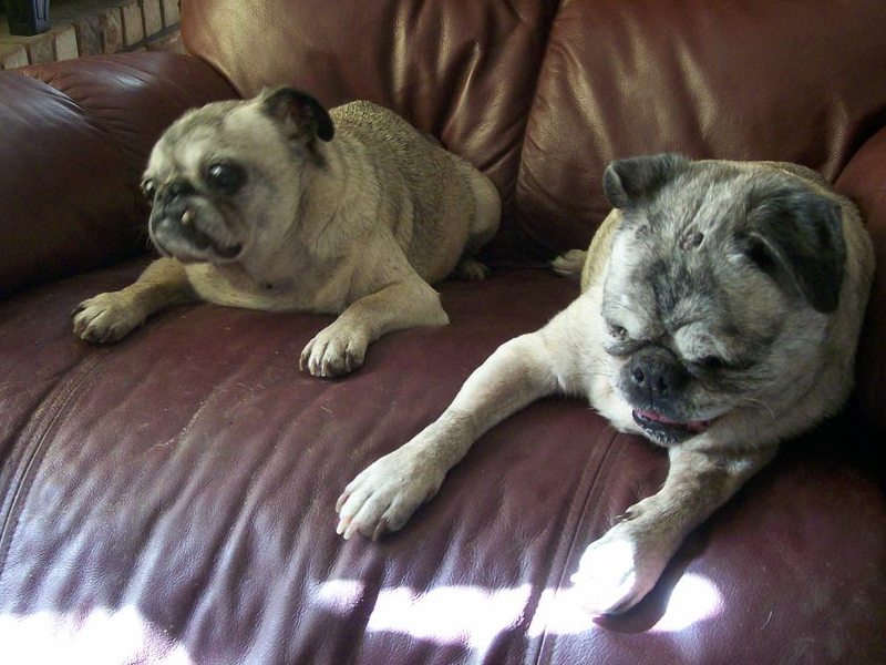 Beryl and Dimi, sisters in the recliner