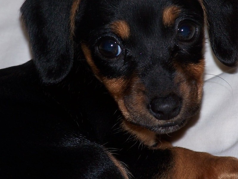 My sweet baby