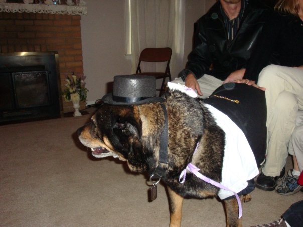 I'm a studly ringbearer in my snazzy tux!