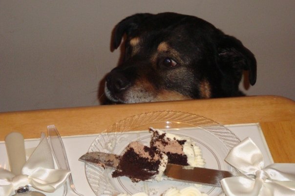 I want that cake!