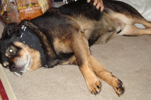 So tired. . .