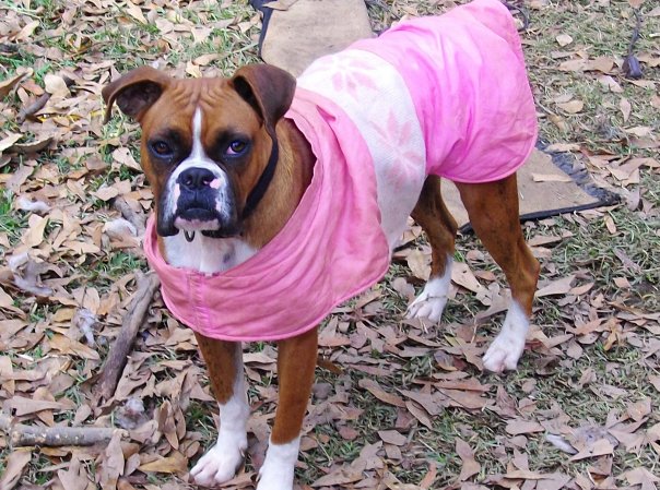 Pretty in pink..even though she pulled the carpet out of her house lol