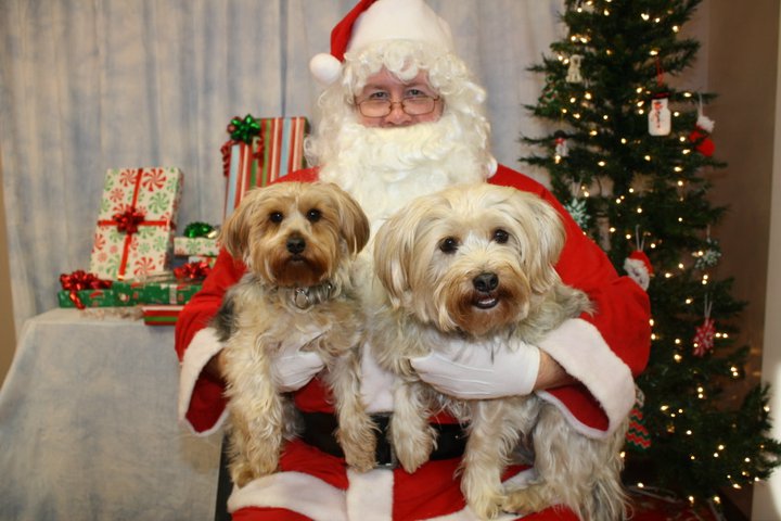 Sitting with Santa