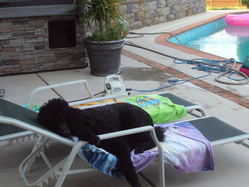 pool side