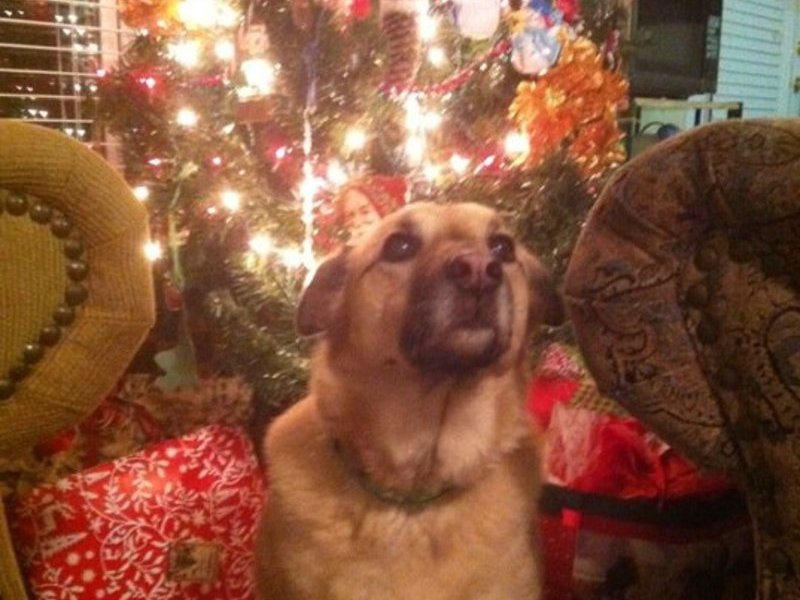 Christmas