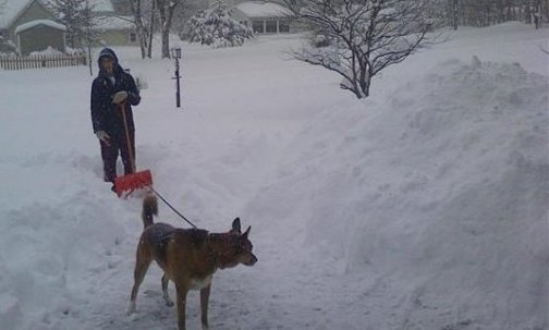 We had a snow storm. Snickers was excited to play in it.