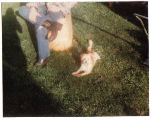 photo caption