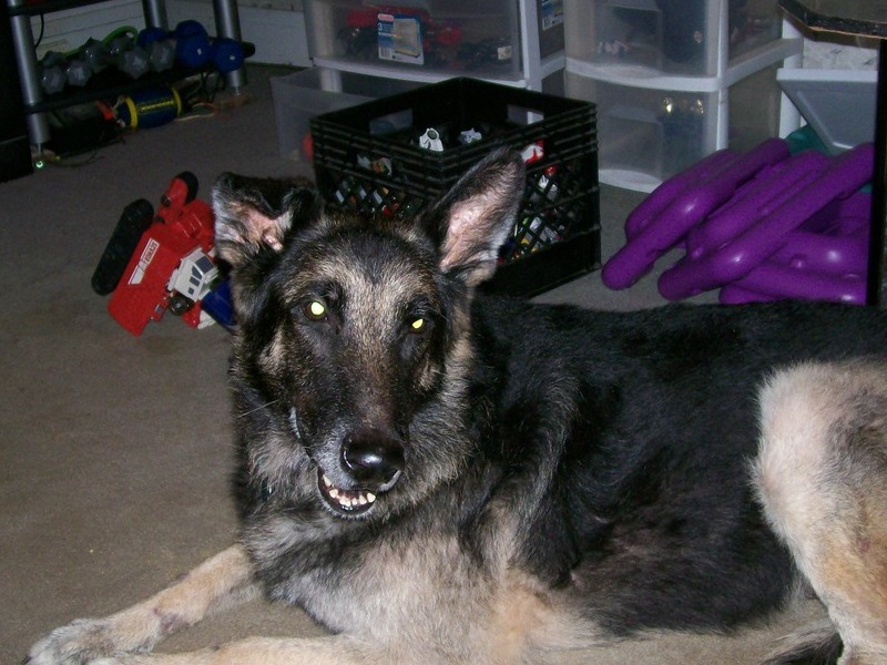 8-22-10  Storm, veryhappy to see my parents.