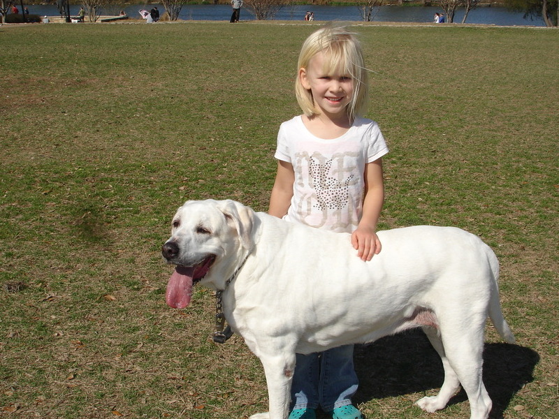 Doggie Park in Austin