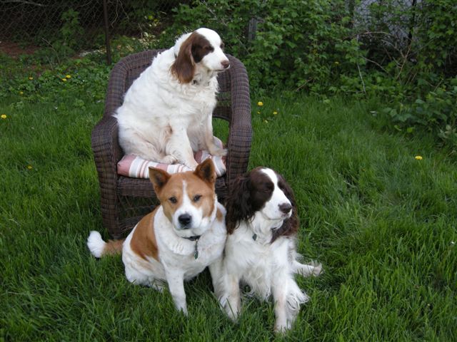 jack,carson,bentley and dad