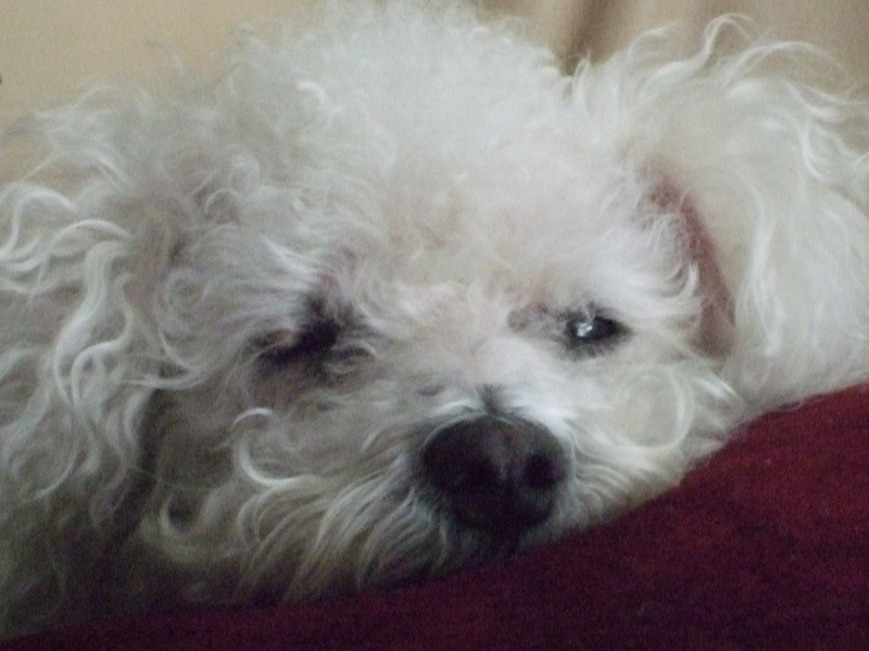 Nap time