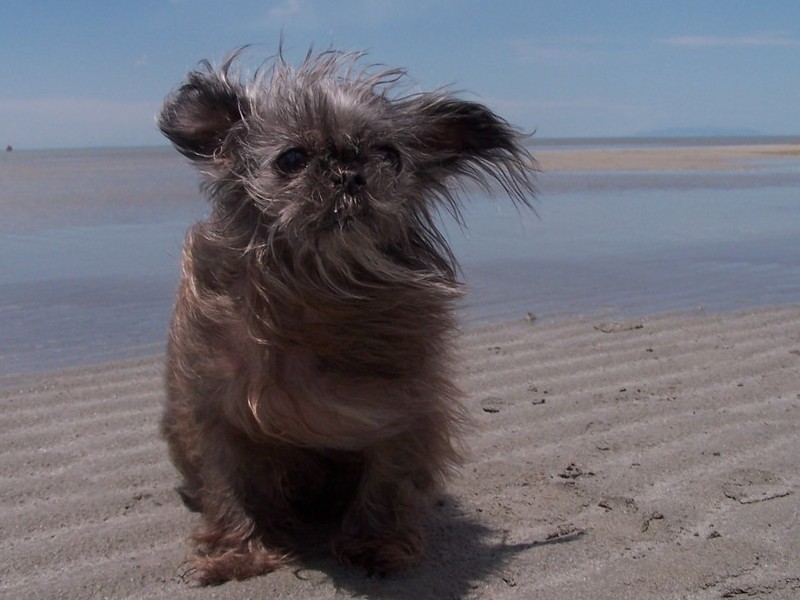 Nina standing in the great salt lake