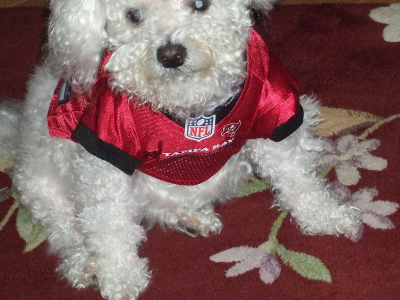 Go Bucs!