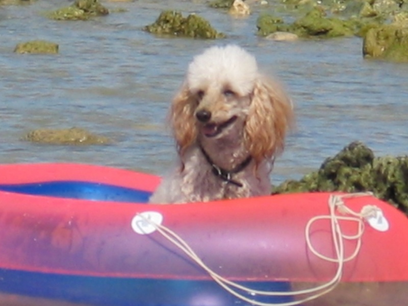 Keep on floating in our hearts