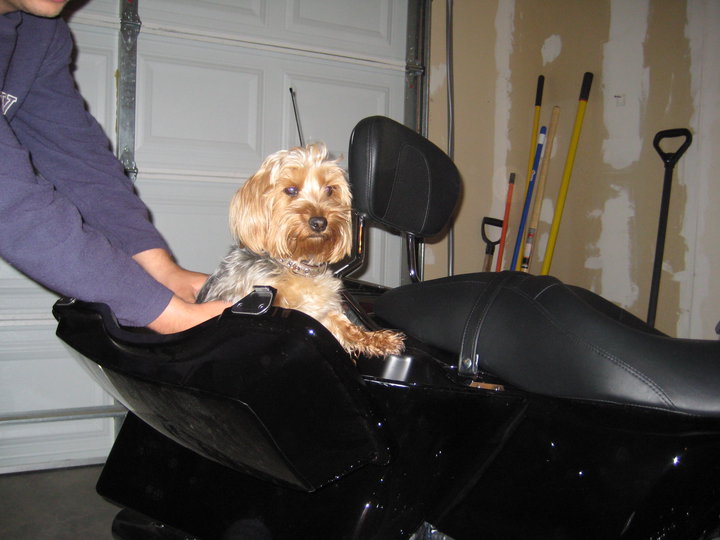 Riding on a Harley