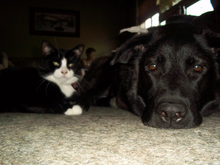 Best friends and he misses you a whole lot!