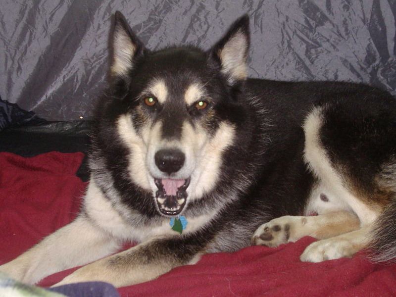 in the tent camping