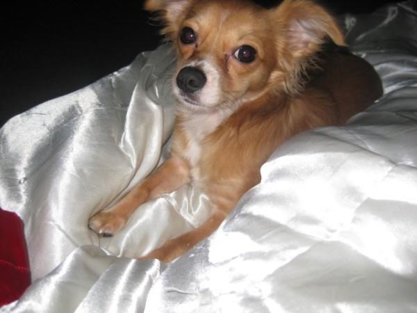 hes such a little supermodel!