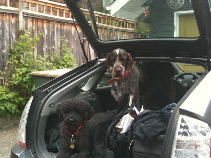 Kedge and Topper loaded up ready to roll with mom