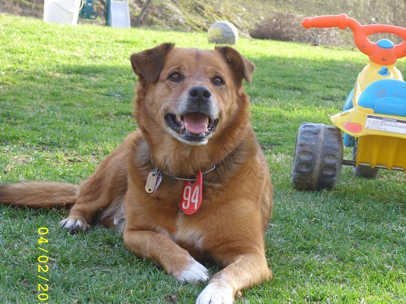 Our Beautiful Girl