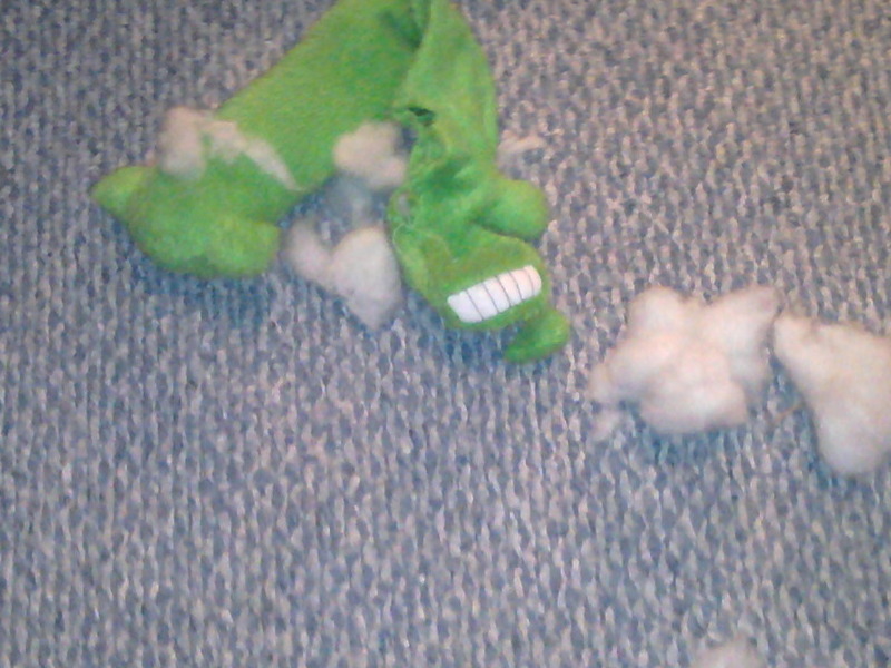 Another murdered toy.