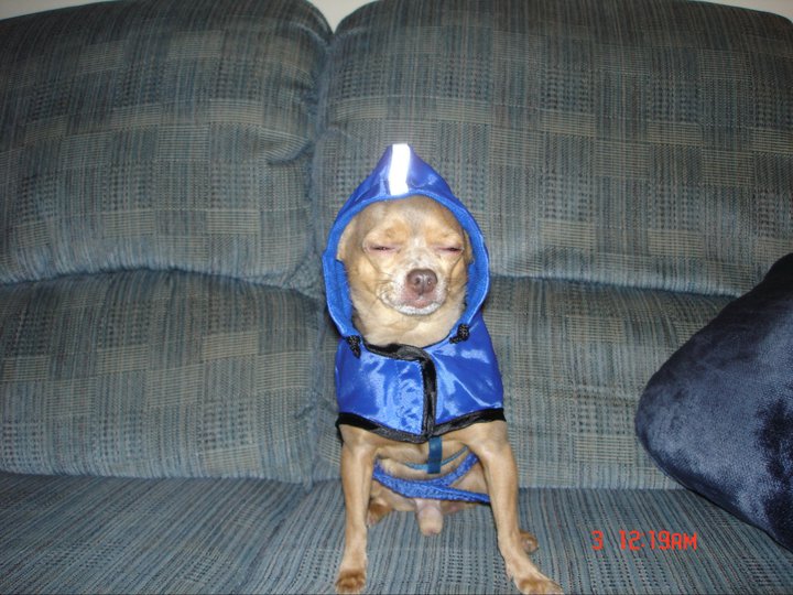 photo caption
