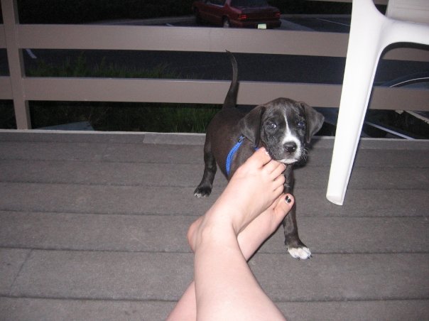 baby jade when i first got her