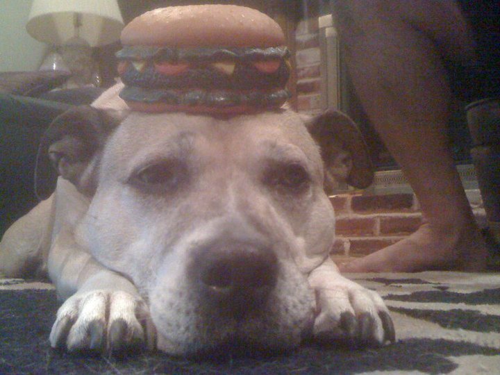 Her Favorite Cheeseburger
