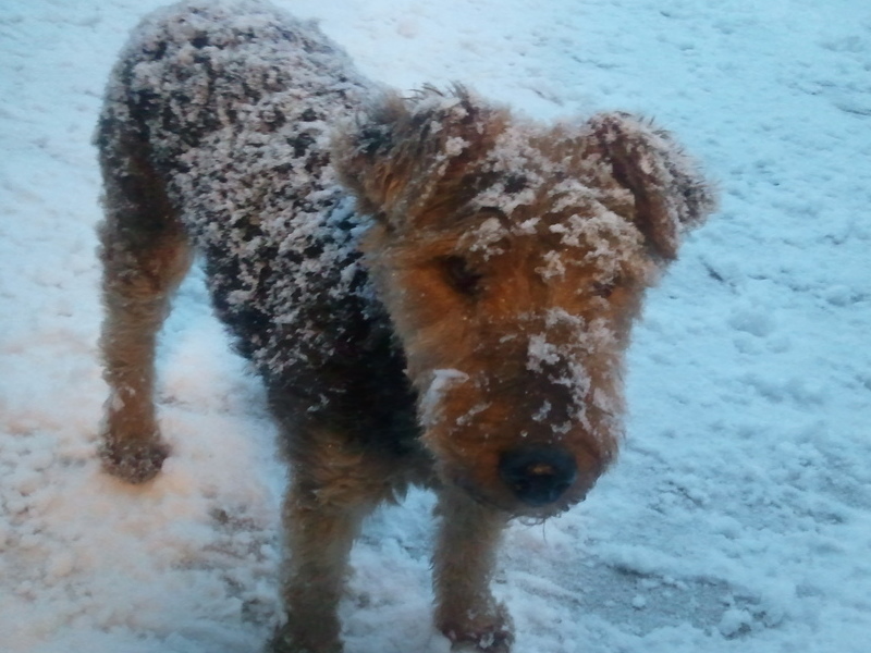 Let me in!