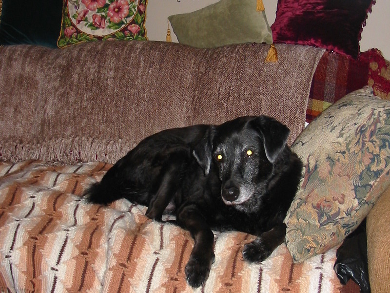 Just relaxing