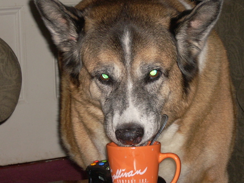 BUSTED! Chew loved his coffee