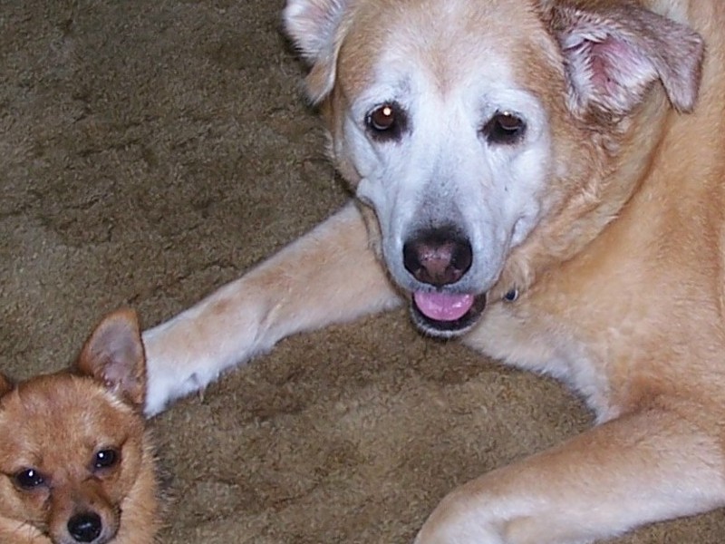 Almond and Zoey