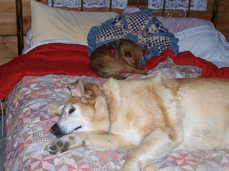 Almond and her little sister Zoey