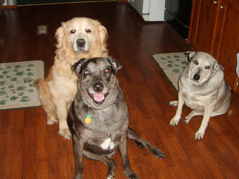 photo ME AND MY MOM AND MY ADOPTED BROTHER WAITING FOR TREATS