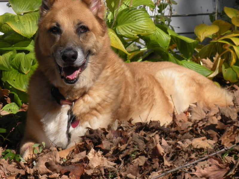 She loved the leaves in Fall