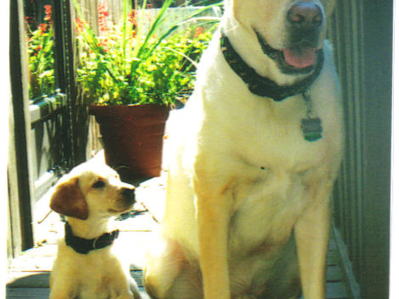 He wasn't very accepting of her at first. But that changed.