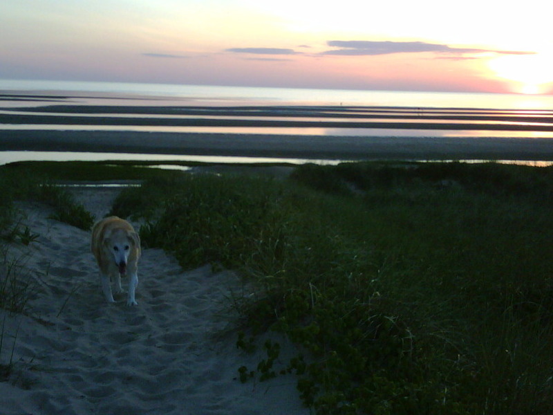 Walking the dunes