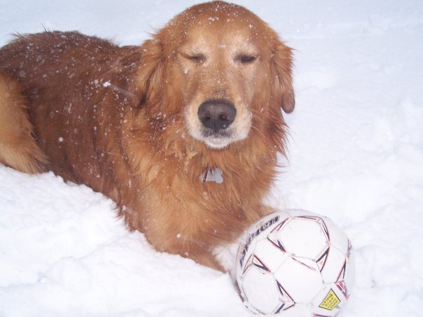 It might be snowing, but he wants to play soccer!!!