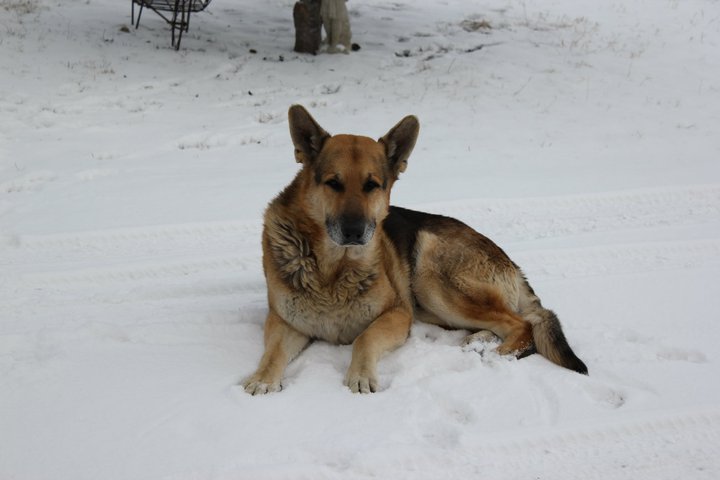 Loving the snow!!