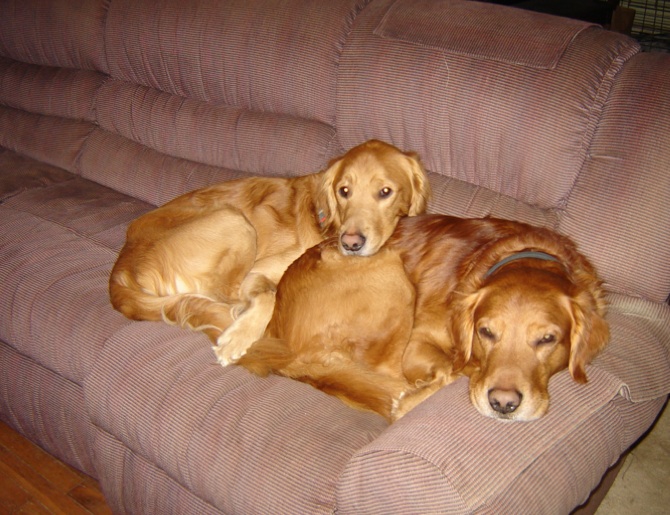 Benji with his nephew Otis