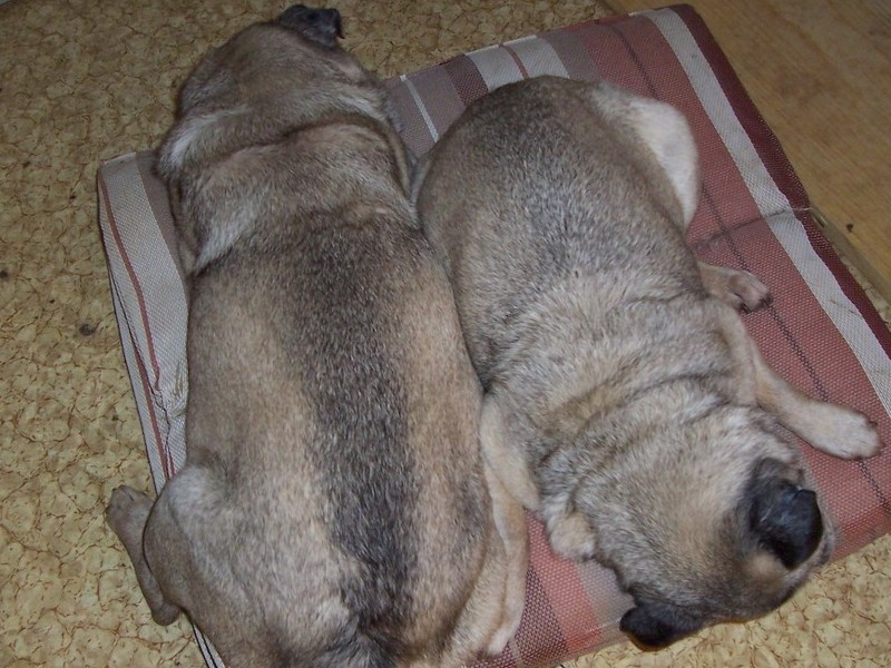 This how Beryl and Dimi slept, side by side