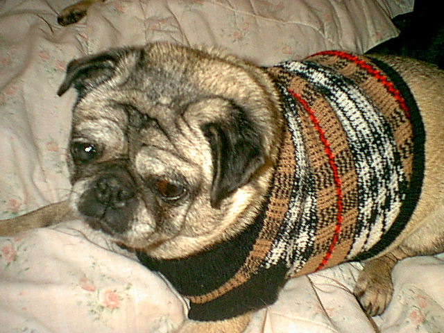 Beryl in her sweater