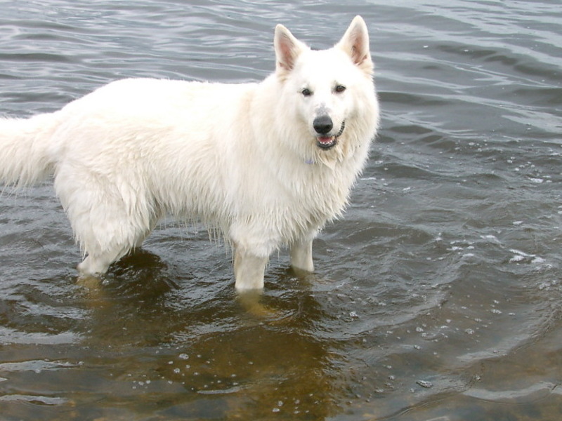 I love the water especially boatrides!