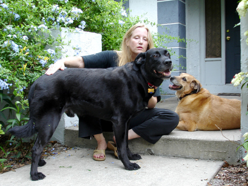 Jack, Tillie and me,. 2007