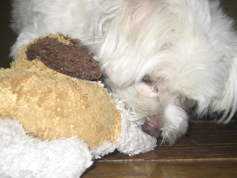 playing with his baby