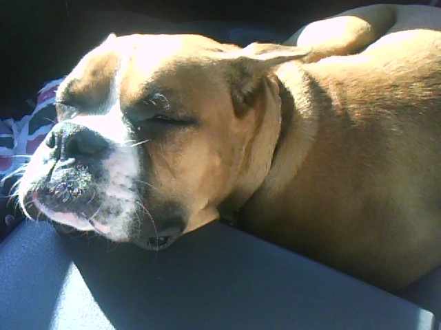 Car ride home back to Dad's snoring the whole way