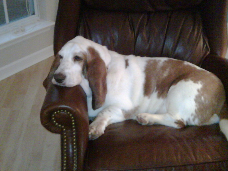 laying in the chair while mamma cleans the house