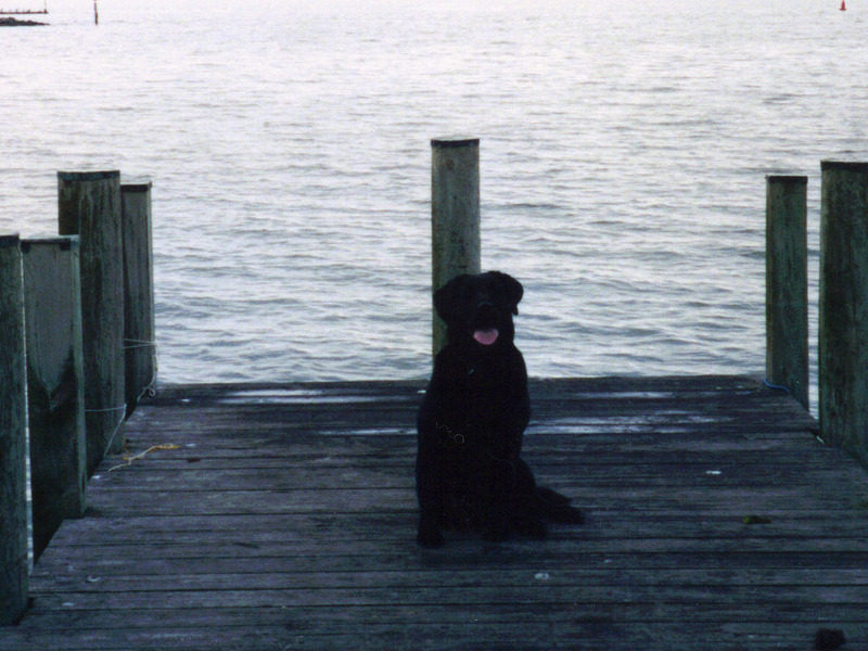 favorite boat dock posing